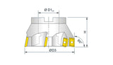 Bernardo Cutting Tool Face and Angle Cutter, 50 mm diameter