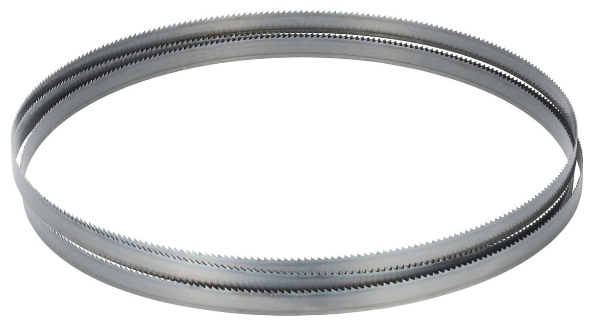 Saw band 2950 x 16 x 0.6 mm 11-1005