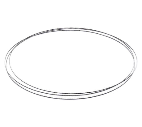 Confezione di due lame da 1/8" con dentatura fine, dedicate alla sega a nastro Record Power BS300E per tagli curvi e sagomati di precisione.