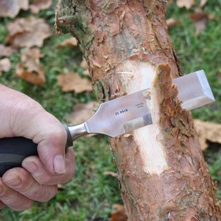 Narex Multi Bevel Chisel